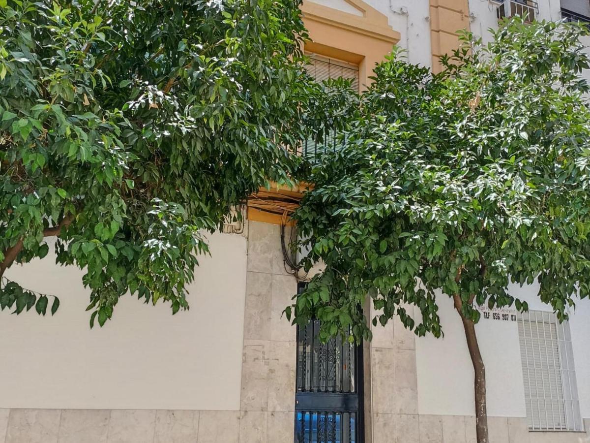 Modernos Apartamentos En Ciudad Jardin Córdoba Eksteriør bilde